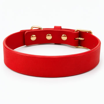 Red Leather Custom Buckle Choker